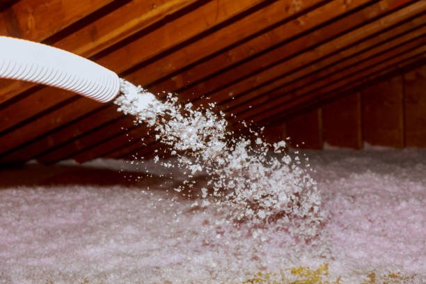 Insulation Inspection Services in Mascoutah, IL