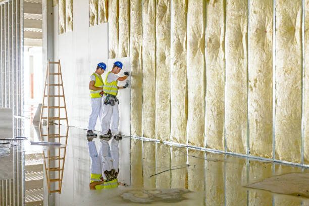 Insulation Contractors for Homes in Mascoutah, IL